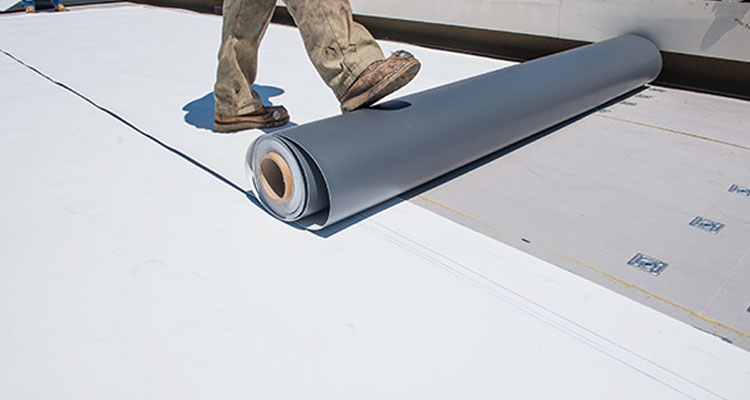 Thermoplastic Polyolefin Roofing Burbank